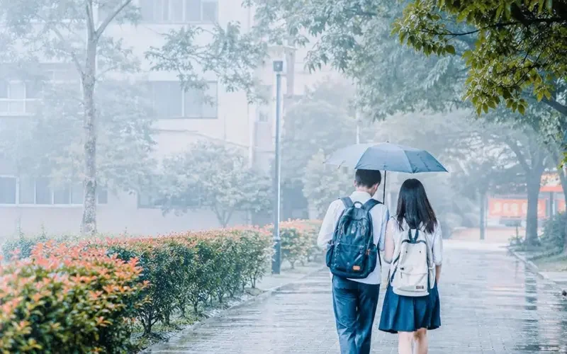 《伞下心动》凭什么成为甜宠黑马？三大原因说清 - 黄果剧场资讯配图