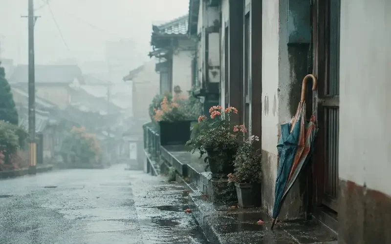 《妈妈的旧雨伞》口碑炸裂：一次迟到很多年的和解 - 黄果剧场资讯配图